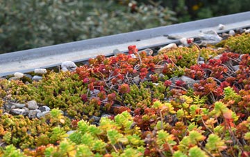 the cost of Arthrath green roof installation